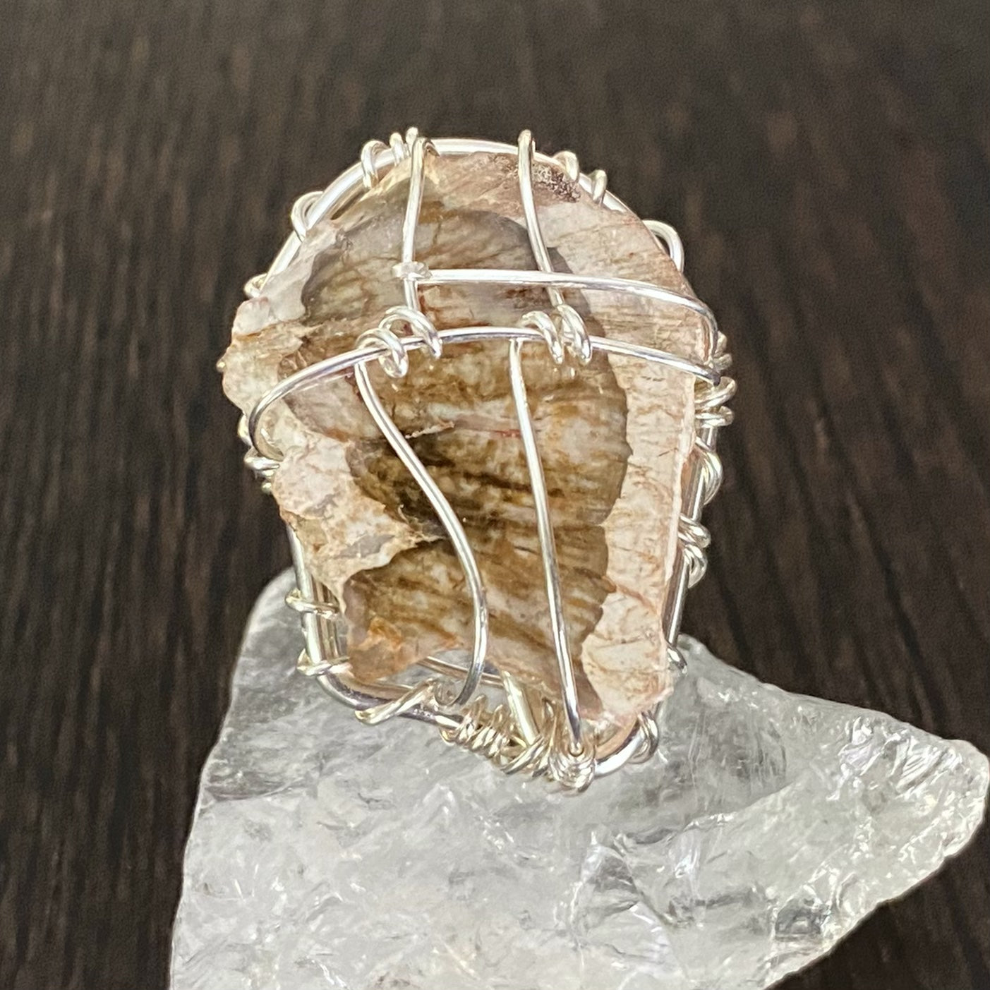 SILVER+PETRIFIED WOOD RING